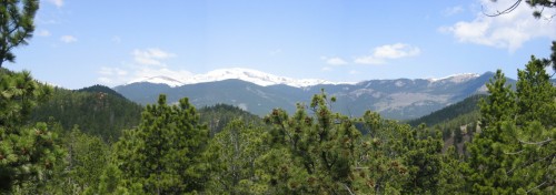 View from the back deck