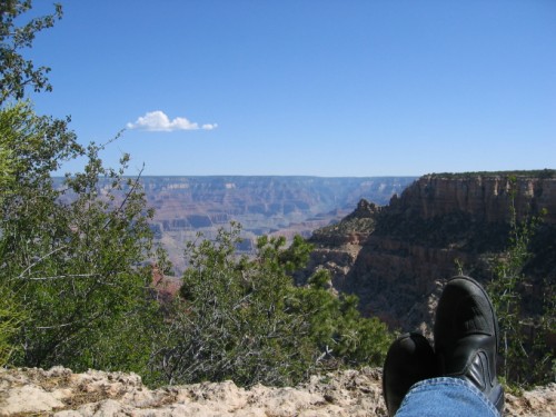 View from a nap