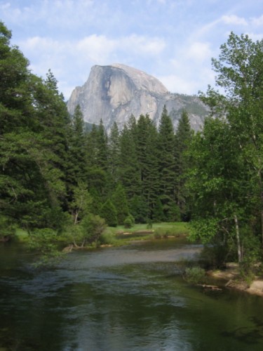 Half Dome from the creek